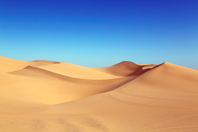 Zamyšlení nad písečnými dunami: vliv a ochrana této unikátní přírodní formace
