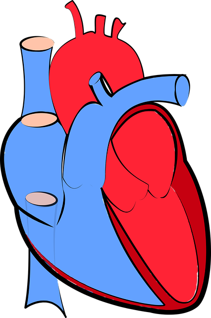 Zlepšení kardiovaskulárního systému a prevence srdečních onemocnění skrze běh