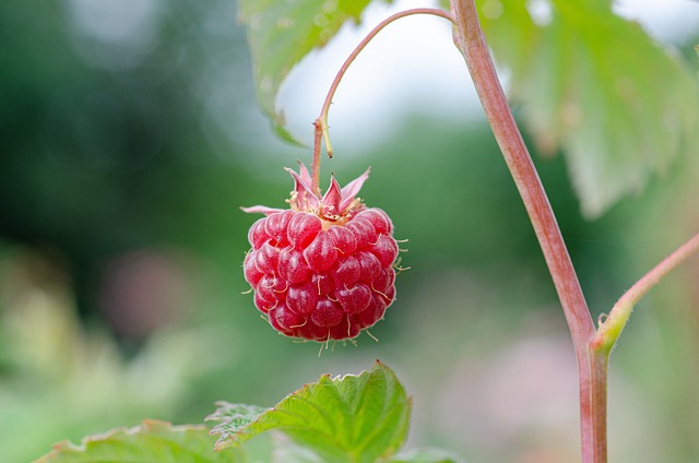 8. ⁢Výběr⁣ správných čistících prostředků a‌ štětců pro ⁢nejlepší výsledky na bílých látěných botách